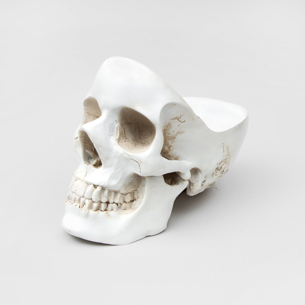 Skull Tidy