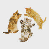 Cat Nail Files