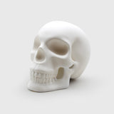 Skull Light