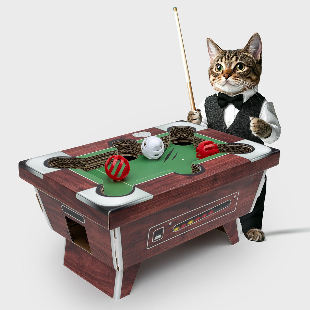 Pool Table Cat Toy