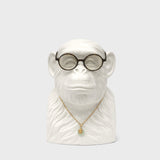 Chimp Tidy